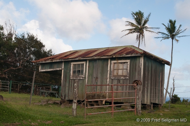 20091101_153836 D300.jpg - Old homestead along Akoni Pule Highway, Hawaii